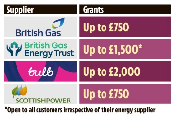 Familias que luchan por obtener subvenciones de £ 750 de British Gas para ayudar a pagar sus facturas