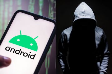 Usuarios de Android advirtieron sobre aplicaciones falsas convincentes que ROBAN sus contraseñas