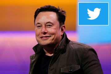 Los fanáticos de Twitter indignados cuando Elon Musk presiona para cobrar $ 20 por una función clave