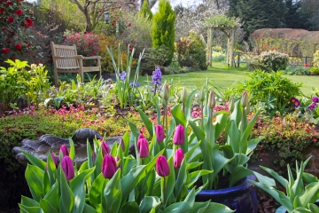 Reglas poco conocidas para su propio jardín que podrían generarle £ 12,000 en multas